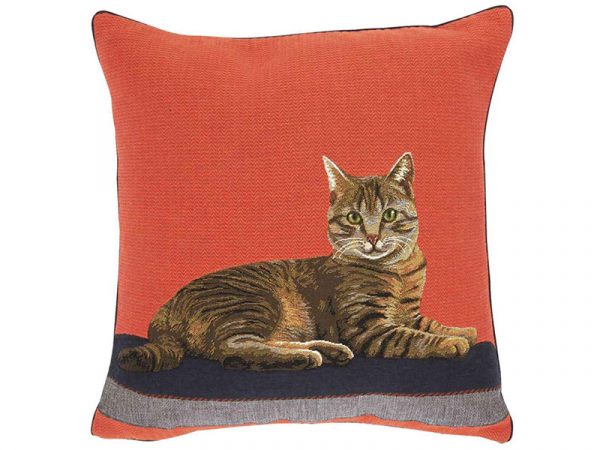 Coussin Iosis Aladin Oange