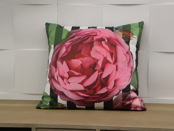Coussin Alexa Apelt