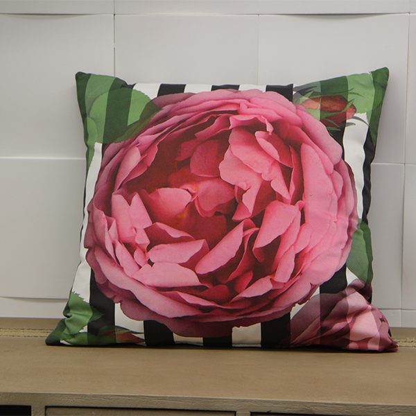 Coussin Alexa Apelt